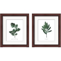 Framed 'Herbs 2 Piece Framed Art Print Set' border=