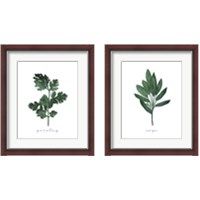 Framed 'Herbs 2 Piece Framed Art Print Set' border=