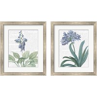 Framed 'Summer Botanicals 2 Piece Framed Art Print Set' border=