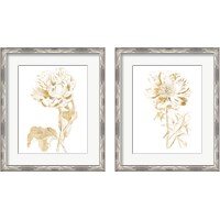 Framed 'Gilded Botanical 2 Piece Framed Art Print Set' border=