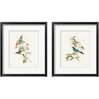 Framed 'Colorful Hummingbirds 2 Piece Framed Art Print Set' border=