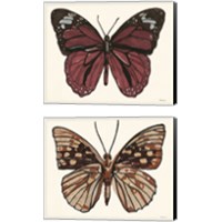 Framed 'Papillon 2 Piece Canvas Print Set' border=