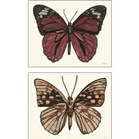 Framed 'Papillon 2 Piece Art Print Set' border=