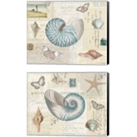 Framed 'Beach Wonders 2 Piece Canvas Print Set' border=