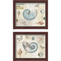 Framed 'Beach Wonders 2 Piece Framed Art Print Set' border=