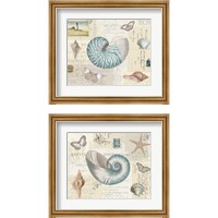 Framed 'Beach Wonders 2 Piece Framed Art Print Set' border=