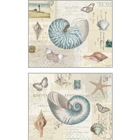 Framed 'Beach Wonders 2 Piece Art Print Set' border=