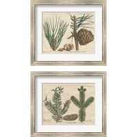 Framed 'Antique Botanical  2 Piece Framed Art Print Set' border=