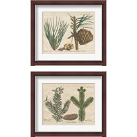 Framed 'Antique Botanical  2 Piece Framed Art Print Set' border=