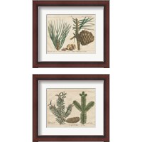 Framed 'Antique Botanical  2 Piece Framed Art Print Set' border=