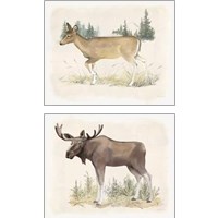 Framed 'Wilderness Collection 2 Piece Art Print Set' border=