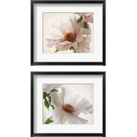 Framed 'Translucent Peony 2 Piece Framed Art Print Set' border=