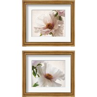 Framed 'Translucent Peony 2 Piece Framed Art Print Set' border=