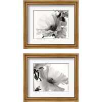 Framed 'Translucent Peony BW 2 Piece Framed Art Print Set' border=