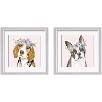 Framed 'Flower Crown Pet 2 Piece Framed Art Print Set' border=