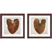 Framed 'Amazonas  2 Piece Framed Art Print Set' border=