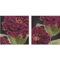 Framed 'Burgundy Floral 2 Piece Art Print Set' border=