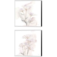 Framed 'Queen Annes Lace 2 Piece Canvas Print Set' border=