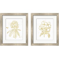 Framed 'Gold Blooms 2 Piece Framed Art Print Set' border=