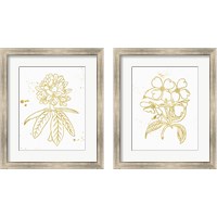 Framed 'Gold Blooms 2 Piece Framed Art Print Set' border=