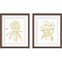 Framed 'Gold Blooms 2 Piece Framed Art Print Set' border=