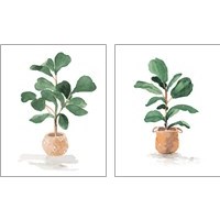 Framed 'Potted Fiddle Fig Tree 2 Piece Art Print Set' border=