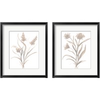 Framed 'Beige Herb 2 Piece Framed Art Print Set' border=