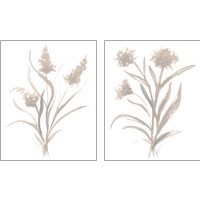 Framed 'Beige Herb 2 Piece Art Print Set' border=