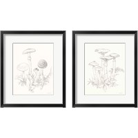 Framed 'Nature Sketchbook 2 Piece Framed Art Print Set' border=