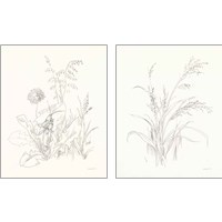 Framed 'Nature Sketchbook 2 Piece Art Print Set' border=