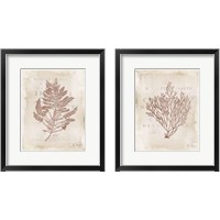 Framed 'Sea Garden 2 Piece Framed Art Print Set' border=