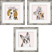 Framed 'Flower Crown Pet 3 Piece Framed Art Print Set' border=