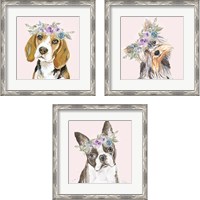 Framed 'Flower Crown Pet 3 Piece Framed Art Print Set' border=