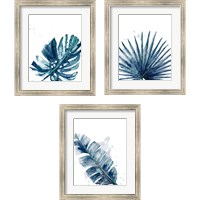 Framed 'Teal Palm Frond 3 Piece Framed Art Print Set' border=