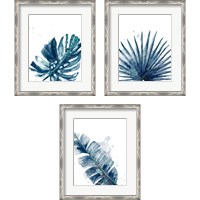 Framed 'Teal Palm Frond 3 Piece Framed Art Print Set' border=