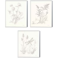 Framed 'Nature Sketchbook 3 Piece Canvas Print Set' border=