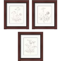 Framed 'Nature Sketchbook 3 Piece Framed Art Print Set' border=