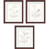 Framed 'Nature Sketchbook 3 Piece Framed Art Print Set' border=