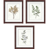 Framed 'Fresh Farmhouse 3 Piece Framed Art Print Set' border=