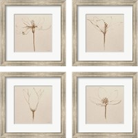 Framed 'Modern Vintage Floral  4 Piece Framed Art Print Set' border=