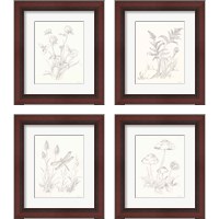 Framed 'Nature Sketchbook 4 Piece Framed Art Print Set' border=