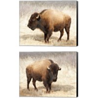 Framed 'American Bison 2 Piece Canvas Print Set' border=