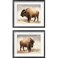 Framed 'American Bison 2 Piece Framed Art Print Set' border=