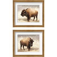 Framed 'American Bison 2 Piece Framed Art Print Set' border=