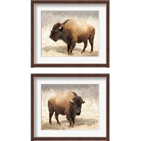 Framed American Bison 2 Piece Framed Art Print Set