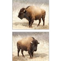 Framed 'American Bison 2 Piece Art Print Set' border=