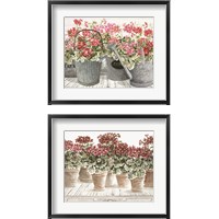 Framed 'Potted Geranium Mix 2 Piece Framed Art Print Set' border=