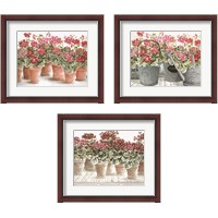 Framed 'Potted Geranium Mix 3 Piece Framed Art Print Set' border=