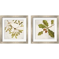 Framed 'Tree Branch 2 Piece Framed Art Print Set' border=