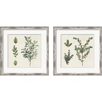 Framed 'Victorian Garden Chart 2 Piece Framed Art Print Set' border=